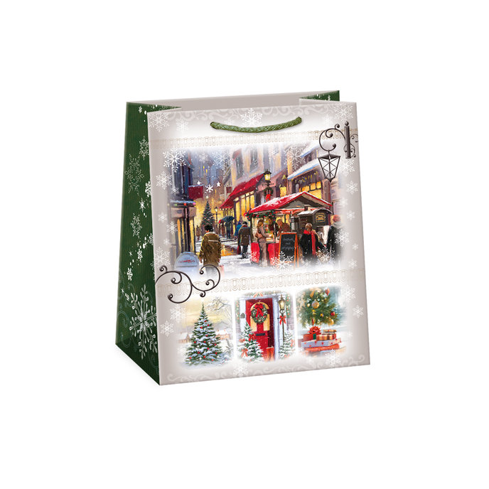 0843-0389 Gift bag