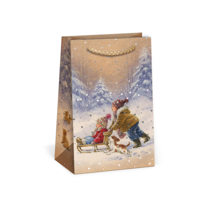 0814-0067 Gift bag NATUR