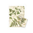 1602-0317 Card wallet Nature