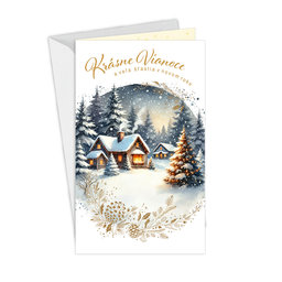 11-6563 Christmas greeting card SK