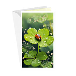 55-608 Greeting card SK
