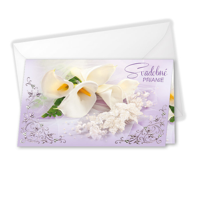 13-6096 Wedding greeting card with money flap SK