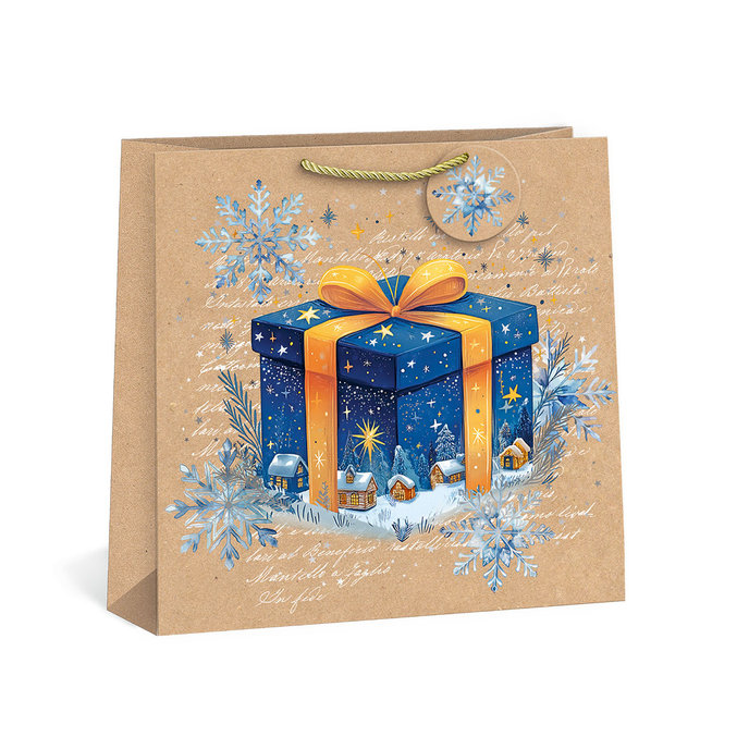 0885-0014 Gift bag SQUARE