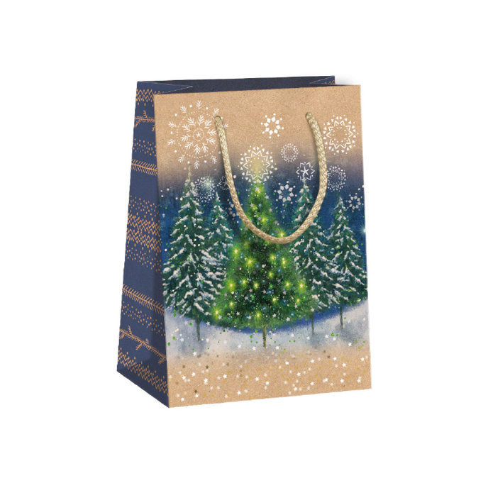 0824-0046 Gift bag NATUR