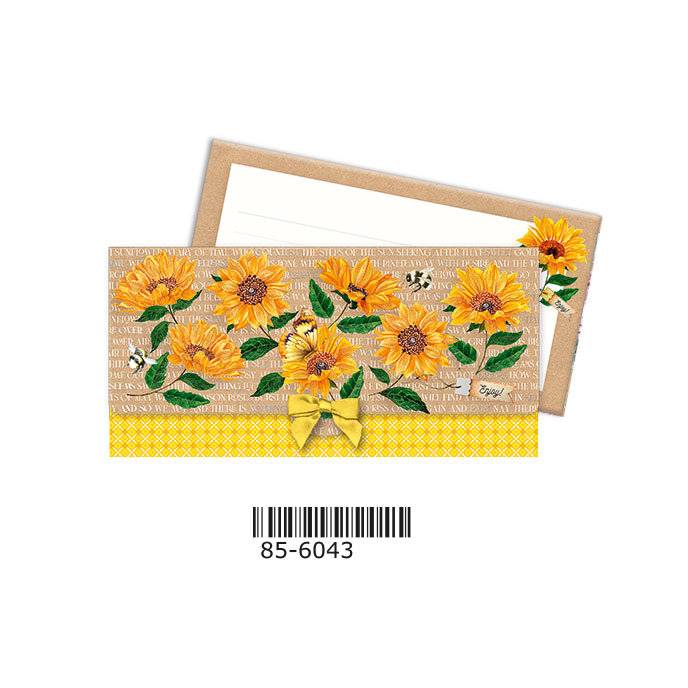 85-6043 Envelope with card