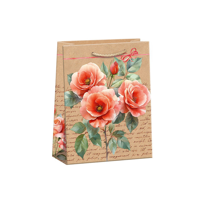 0744-0147 Gift bag NATUR