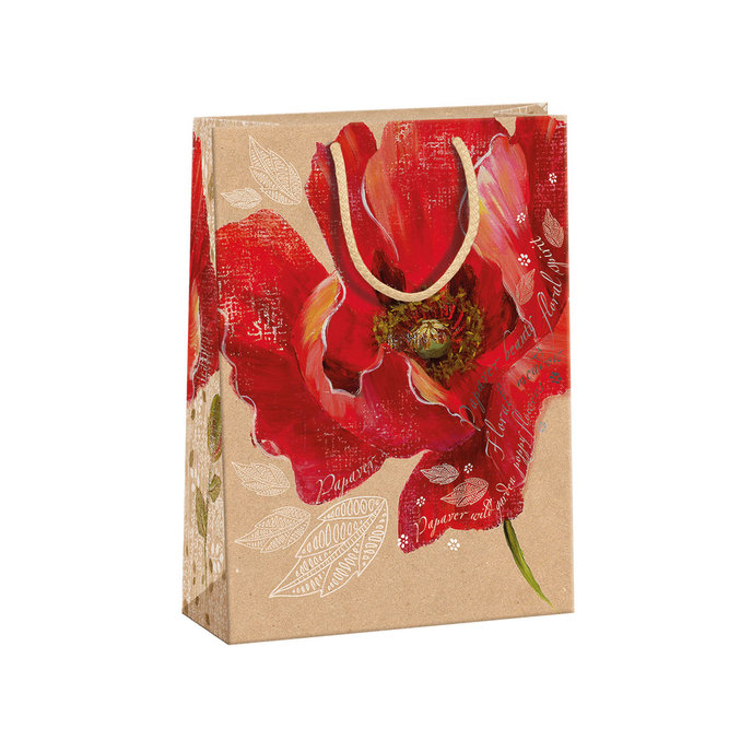 0754-0073 Gift bag NATUR