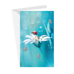 15-6550 Greeting card SK