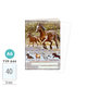 1598-0414 Zošit A6, 40 listov, TYP 644 Wild horses