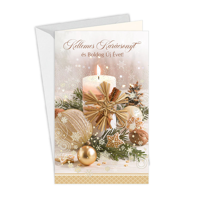 11-6423 Christmas greeting card with leap HU