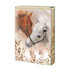 1231-0360 School folder A4 Horses & me
