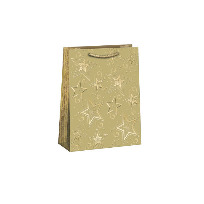 0859-0112 Gift bag LUX