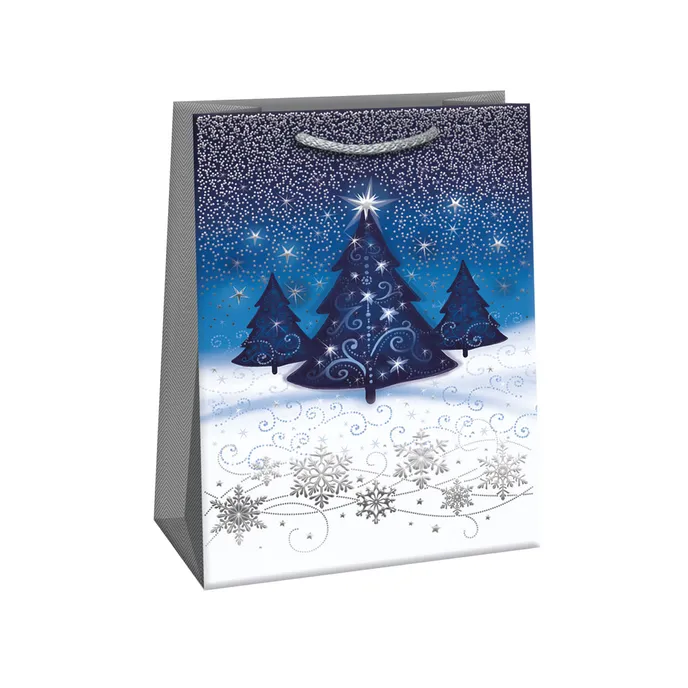 0889-0138 Gift bag LUX