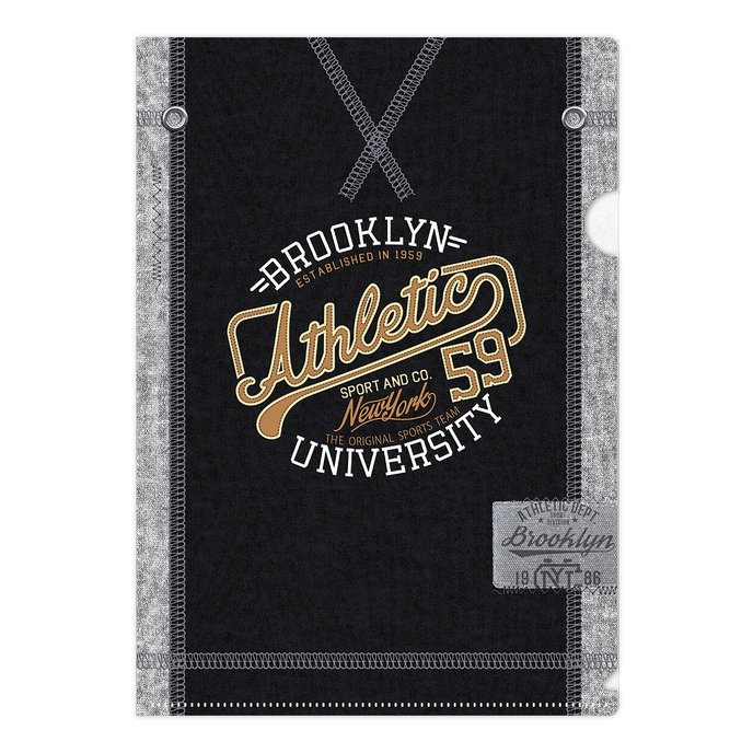 1651-0258 Folder L Brooklyn University