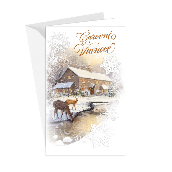 11-6464 Christmas greeting card SK