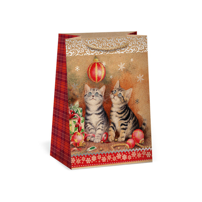 0824-0088 Gift bag NATUR