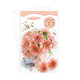 15-6570 Greeting card SK/55