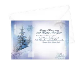 N-3-030s Christmas greeting card SK