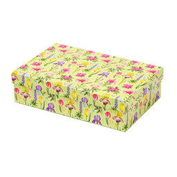 2539-0155 Gift box 24,5x16,5x6,6cm /2500-8155/