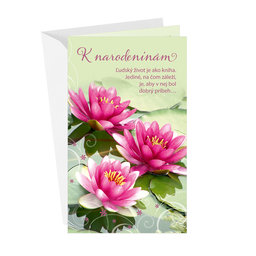 15-6536 Greeting card SK