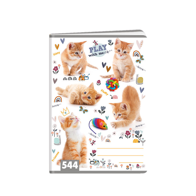 1592-0330 Zošit A5, 40 listov, TYP 544 Cats