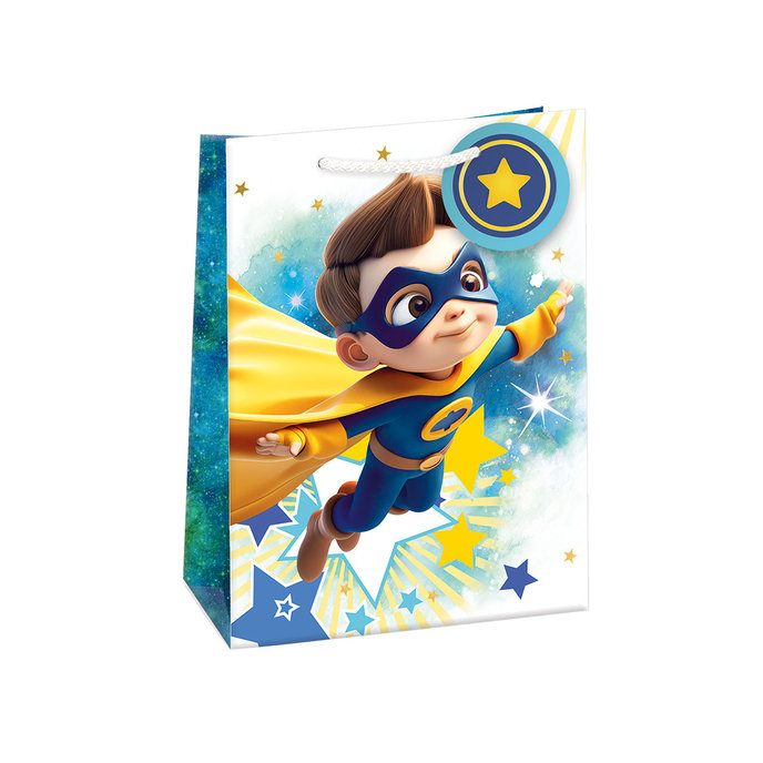 0757-0817 Gift bag SHINY