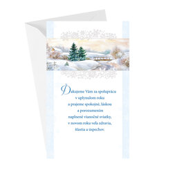 N-1-079 Christmas greeting card SK