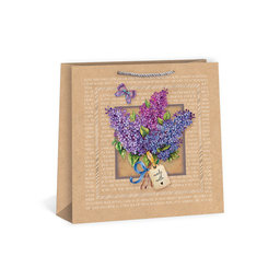 0750-0004 Gift bag SQUARE