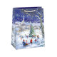 0883-0441 Gift bag