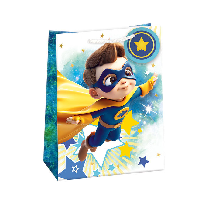 0787-0817 Gift bag SHINY