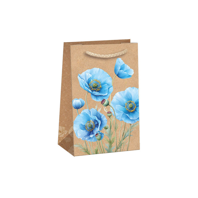 0714-0150 Darčeková taška NATUR