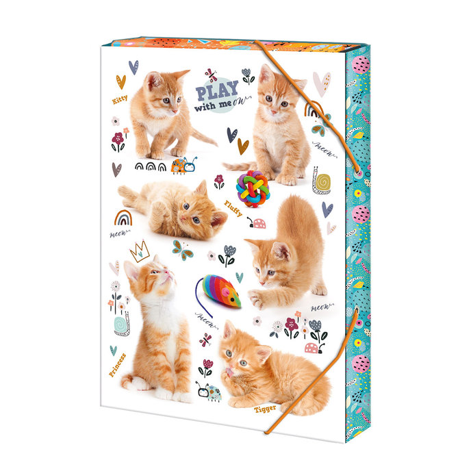 1231-0330 School folder A4 Cats