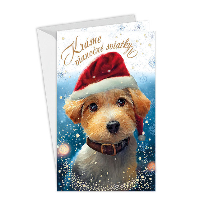 11-6497 Christmas greeting card SK