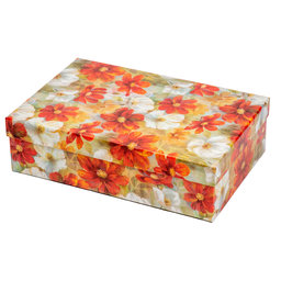 2540-0156 Gift box 26,4x17,6x7,3cm /2500-8156/