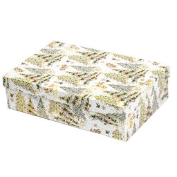 2540-0171 Gift box 26,4x17,6x7,3cm /2500-8171/