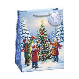 0883-0472 Gift bag