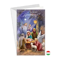 11-6503 Christmas greeting card HU