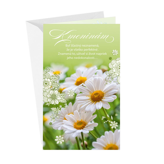 15-6538 Greeting card  SK