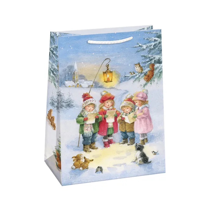 0853-0435 Gift bag