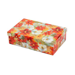 2538-0156 Gift box 22,4x14,4x6,3cm /2500-8156/