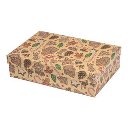 2539-0169 Gift box 24,5x16,5x6,6cm /2500-8169/