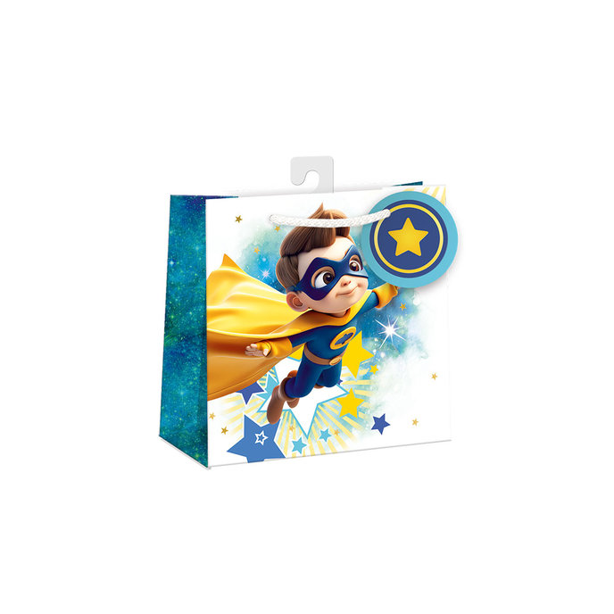 0727-0817 H Gift bag Shiny