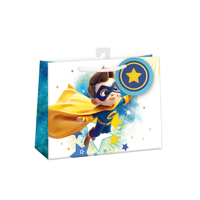 0767-0817 H Gift bag SHINY