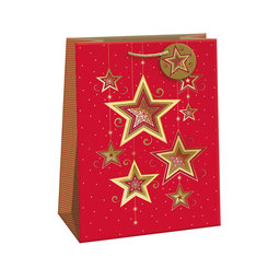 0889-0172 Gift bag LUX