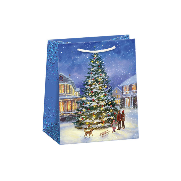 0843-0436 Gift bag