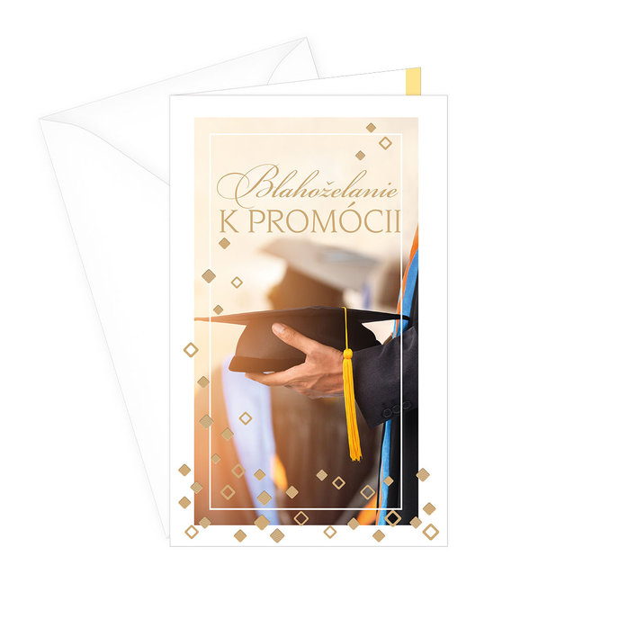 18-695 Graduation greeting card SK