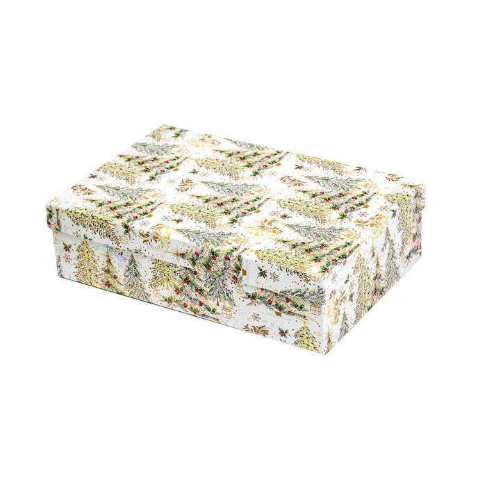 2538-0171 Gift box 22,4x14,4x6,3cm /2500-8171/