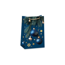 0813-0466 Gift bag