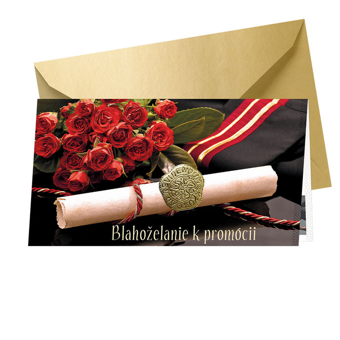 18-684 Graduation greeting card SK